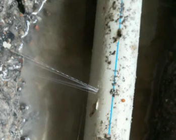 桐乡卫生间测漏水多少钱