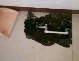 桐乡卫生间测漏水多少钱